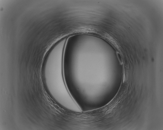 X0000086750387200704130804