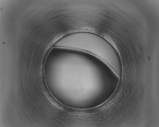 X0000086750389200704130804