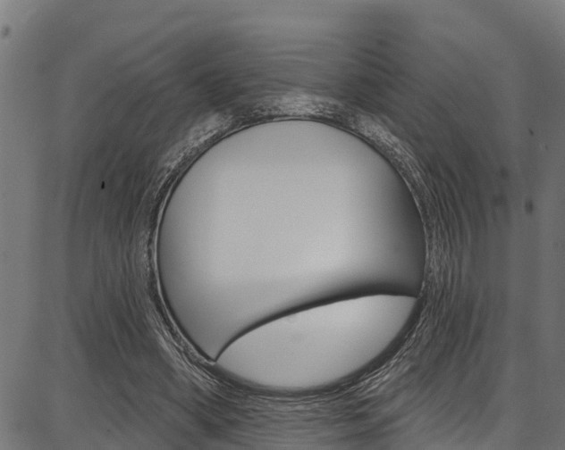 X0000086750394200704130804