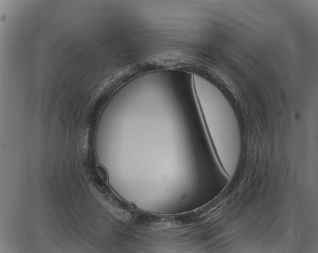X0000086750404200704130803