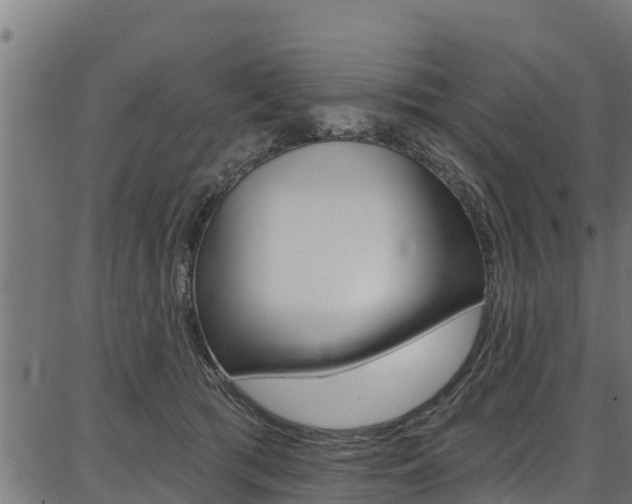 X0000086750417200704130803