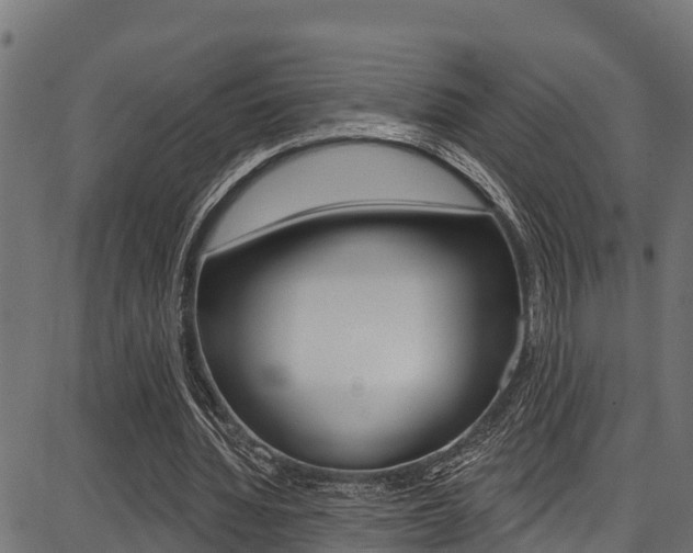 X0000086750436200704130802