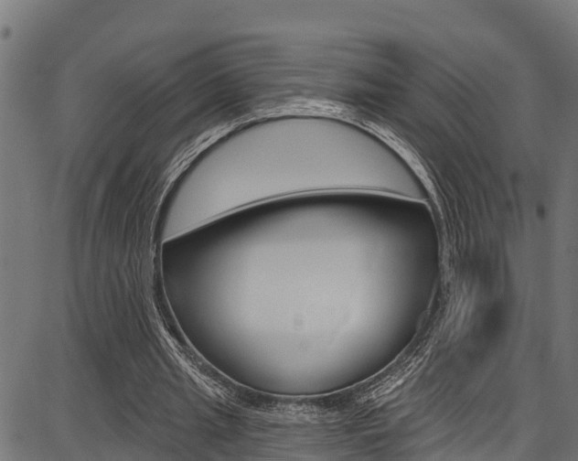 X0000086750437200704130802