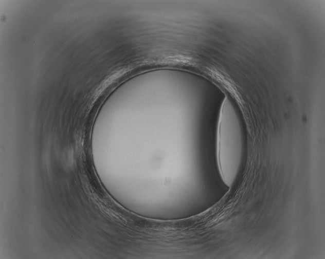 X0000086750483200704130802