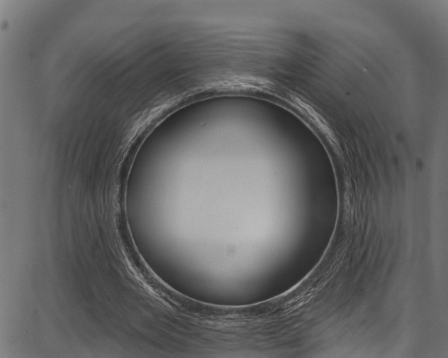 X0000086750485200704130802