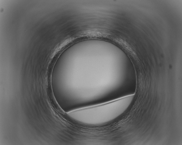 X0000086750488200704130802