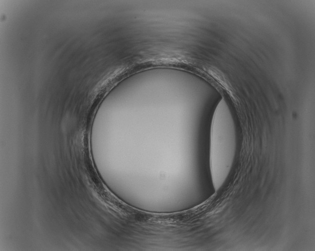 X0000086750491200704130802