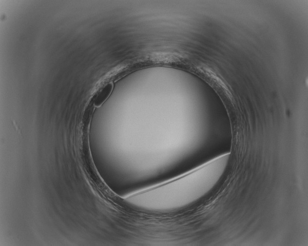 X0000086750492200704130802