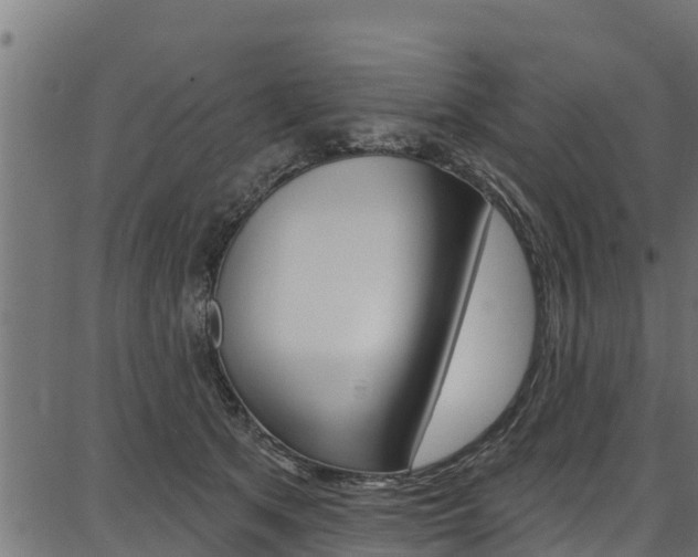 X0000086750513200704130802