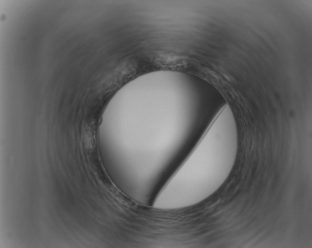 X0000086750515200704130802