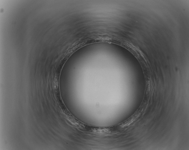 X0000086750517200704130801