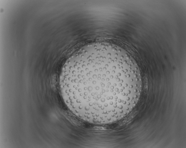 X0000086750519200704130801