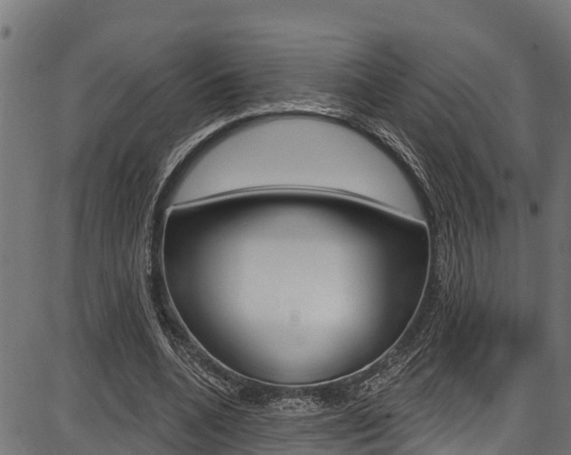 X0000086750536200704130801