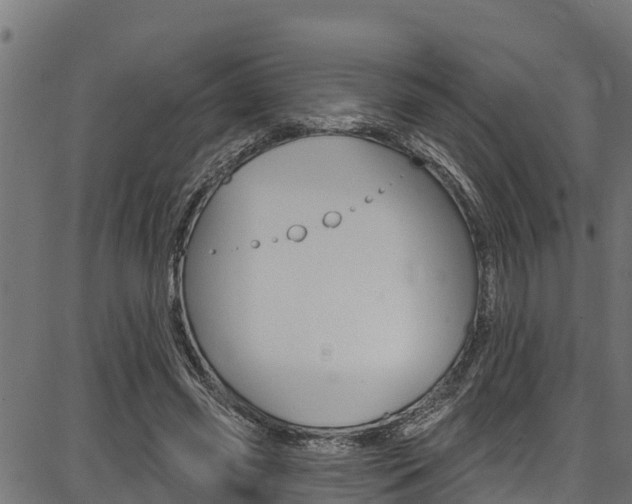 X0000086750541200704130801
