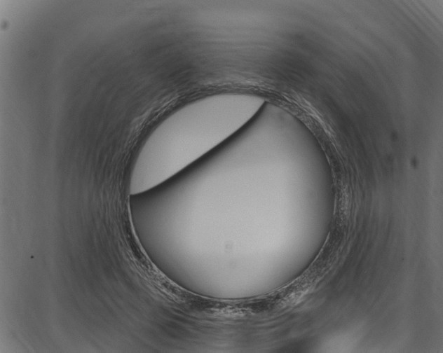 X0000086750545200704130801