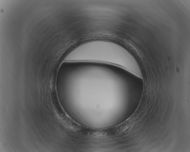 X0000086750546200704130801