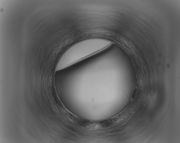 X0000086750551200704130801