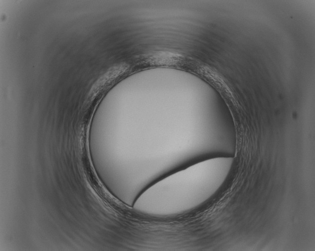 X0000086750586200704130800