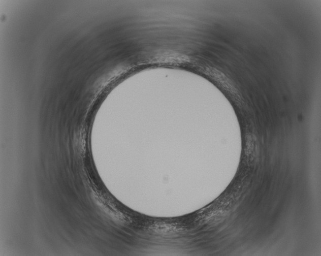 X0000086750632200704130759
