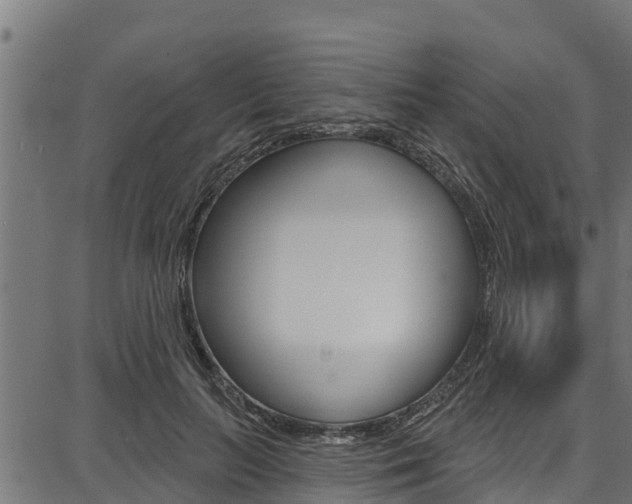 X0000086750647200704130759