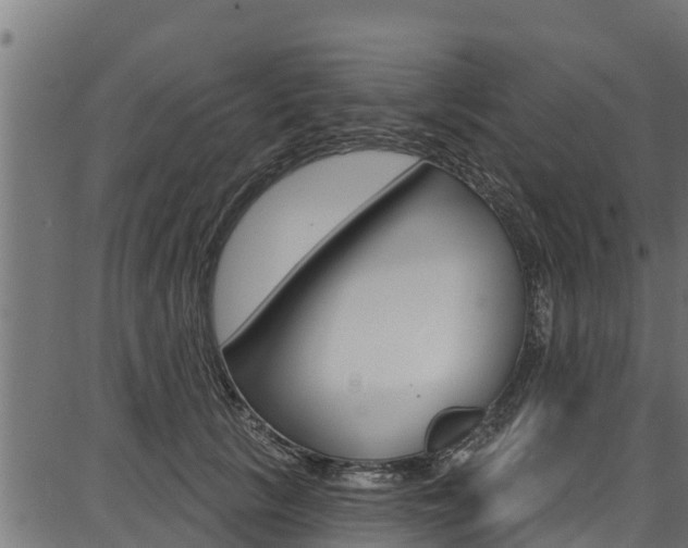 X0000086750657200704130759