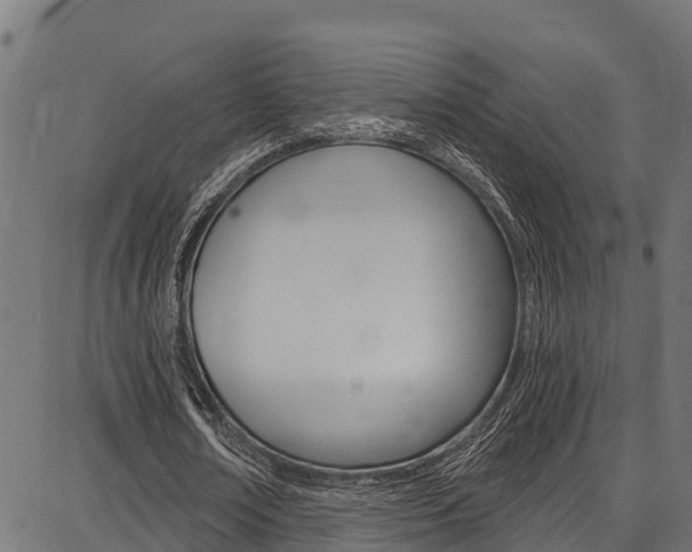 X0000086750674200704130759