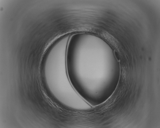 X0000086750676200704130759