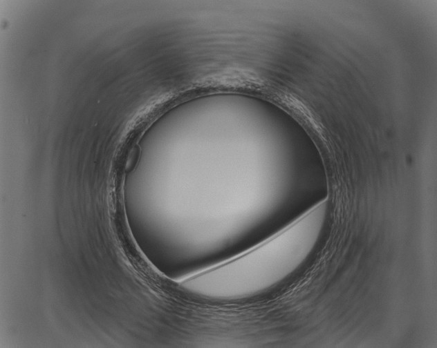 X0000086750680200704130759
