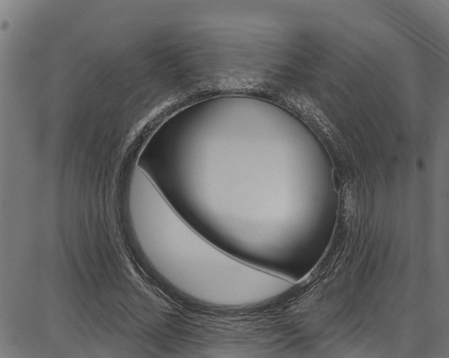 X0000086750684200704130759