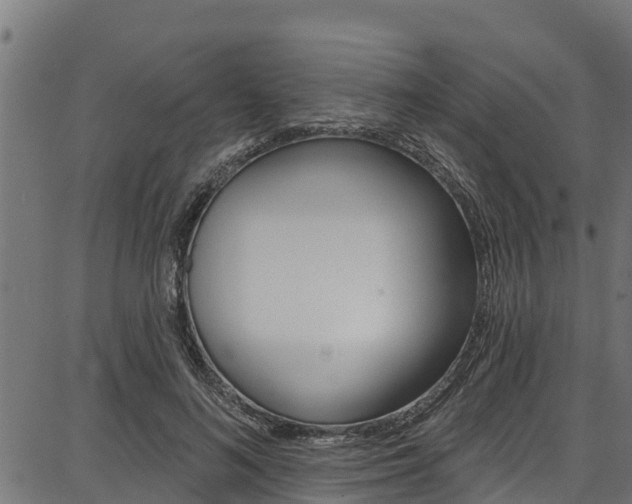 X0000086750692200704130759