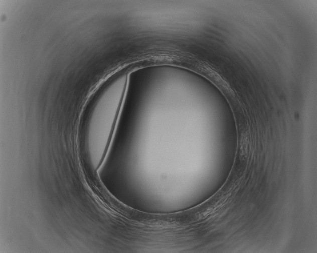 X0000086750722200704130757