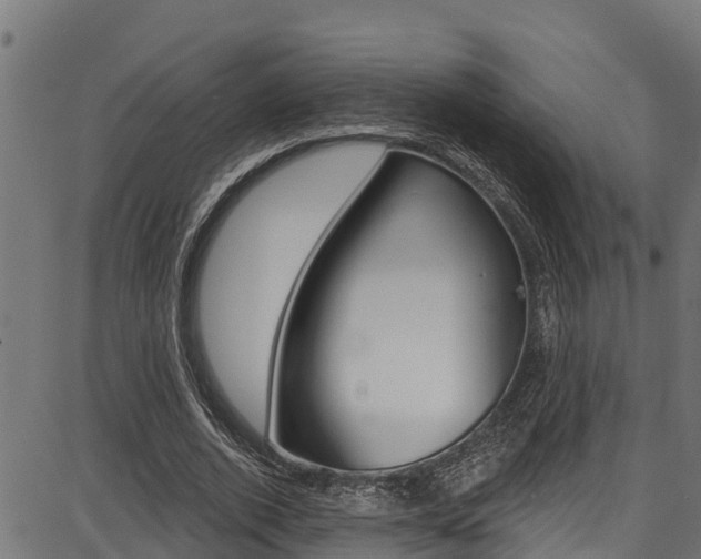 X0000086750728200704130757