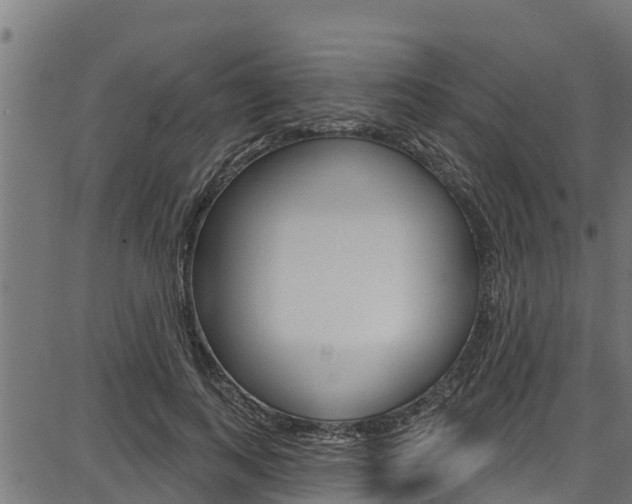 X0000086750743200704130758