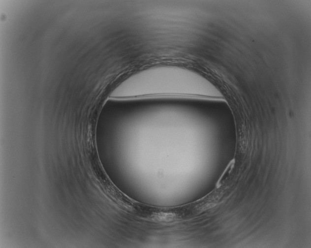 X0000086750748200704130758