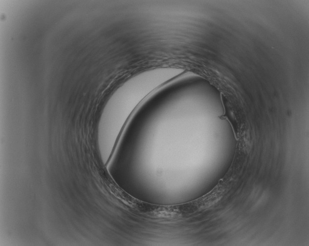 X0000086750756200704130758