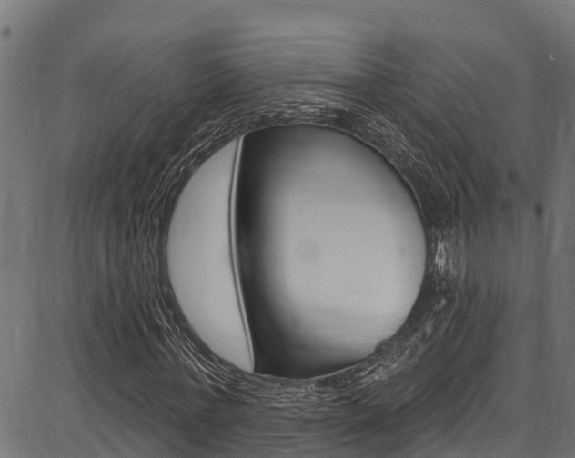X0000086750771200704130757