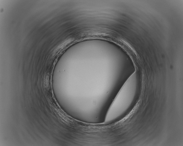 X0000086750777200704130757