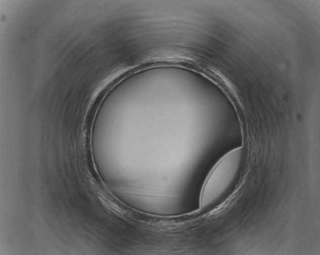 X0000086750779200704130757