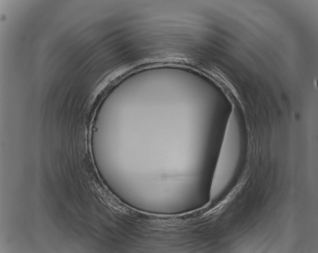 X0000086750781200704130757