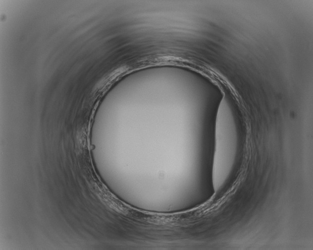 X0000086750785200704130757