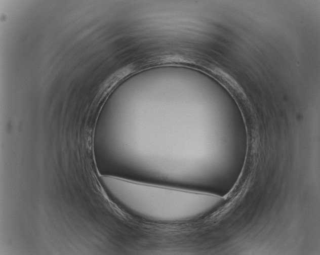 X0000086750793200704130757