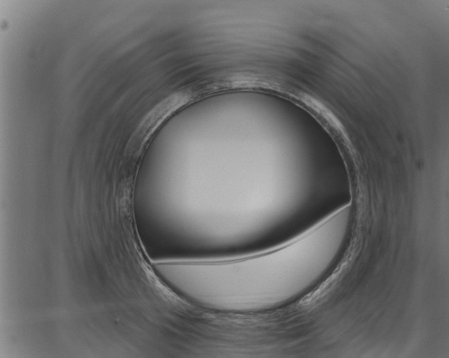 X0000086750801200704130757