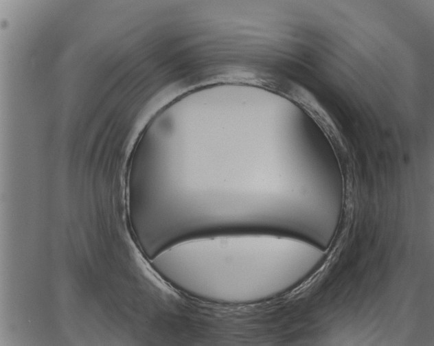 X0000086750808200704130757