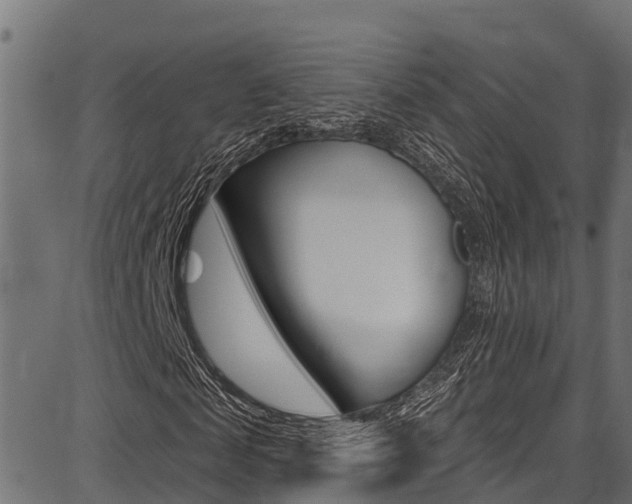 X0000086750817200704130756