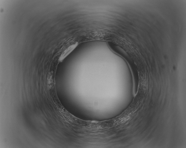 X0000086750818200704130756