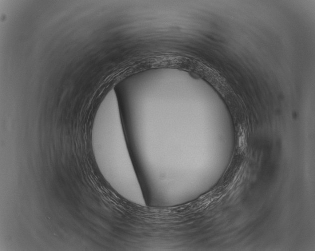 X0000086750819200704130756
