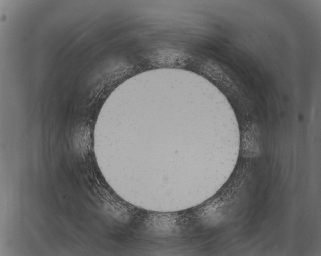 X0000086750820200704130756
