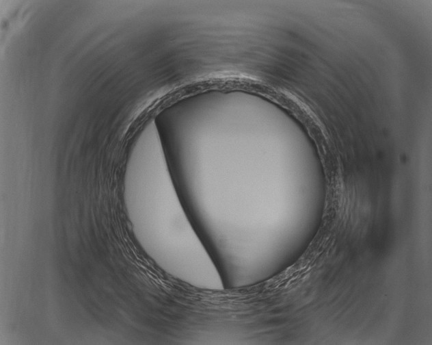 X0000086750823200704130756