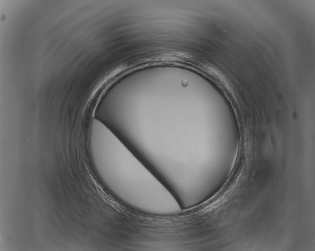X0000086750827200704130756