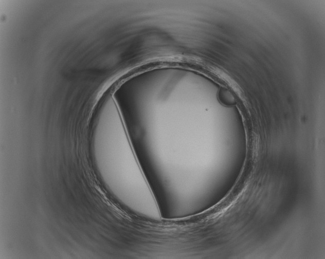 X0000086750829200704130756